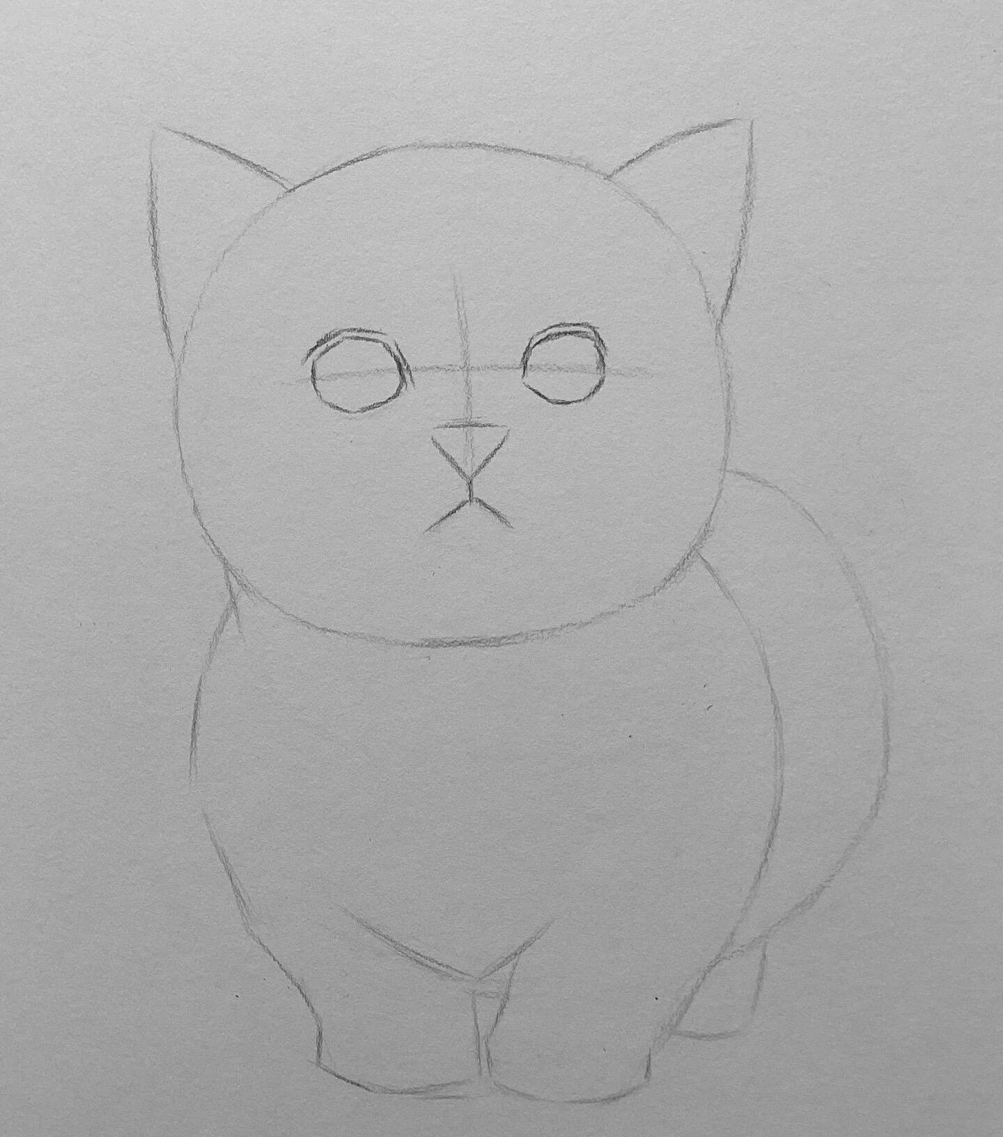 素描静物|可爱的猫咪93