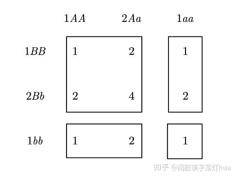 遗传图解棋盘图片