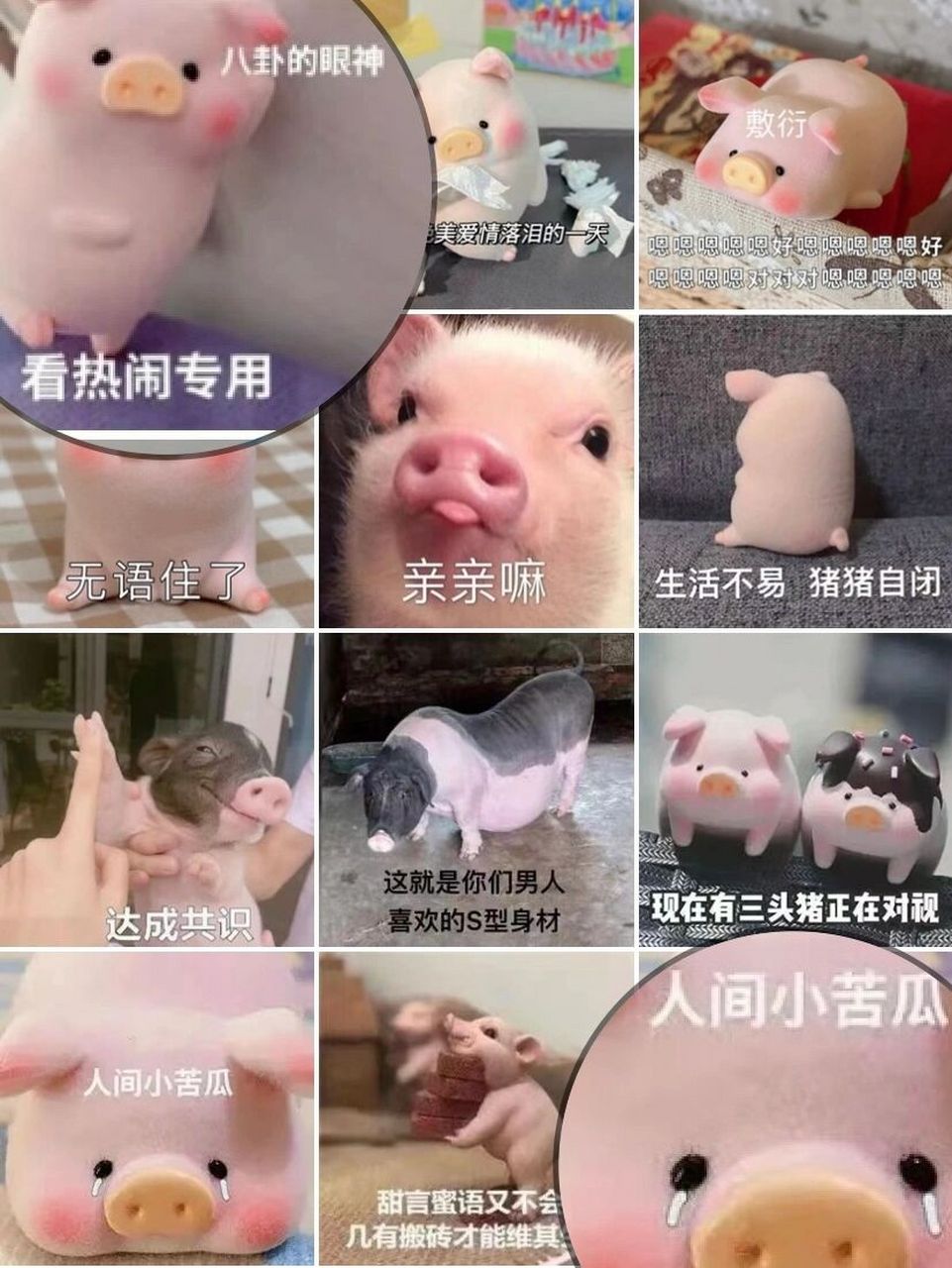 生活不易,猪猪叹气,好可爱 猪猪表情包