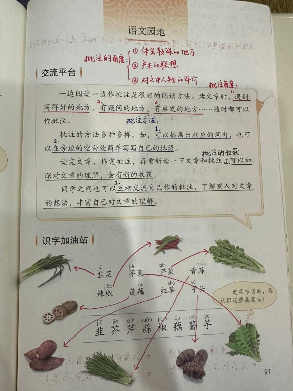 46615上备课笔记/《语文园地六》 #语文笔记# #四年级上册语文