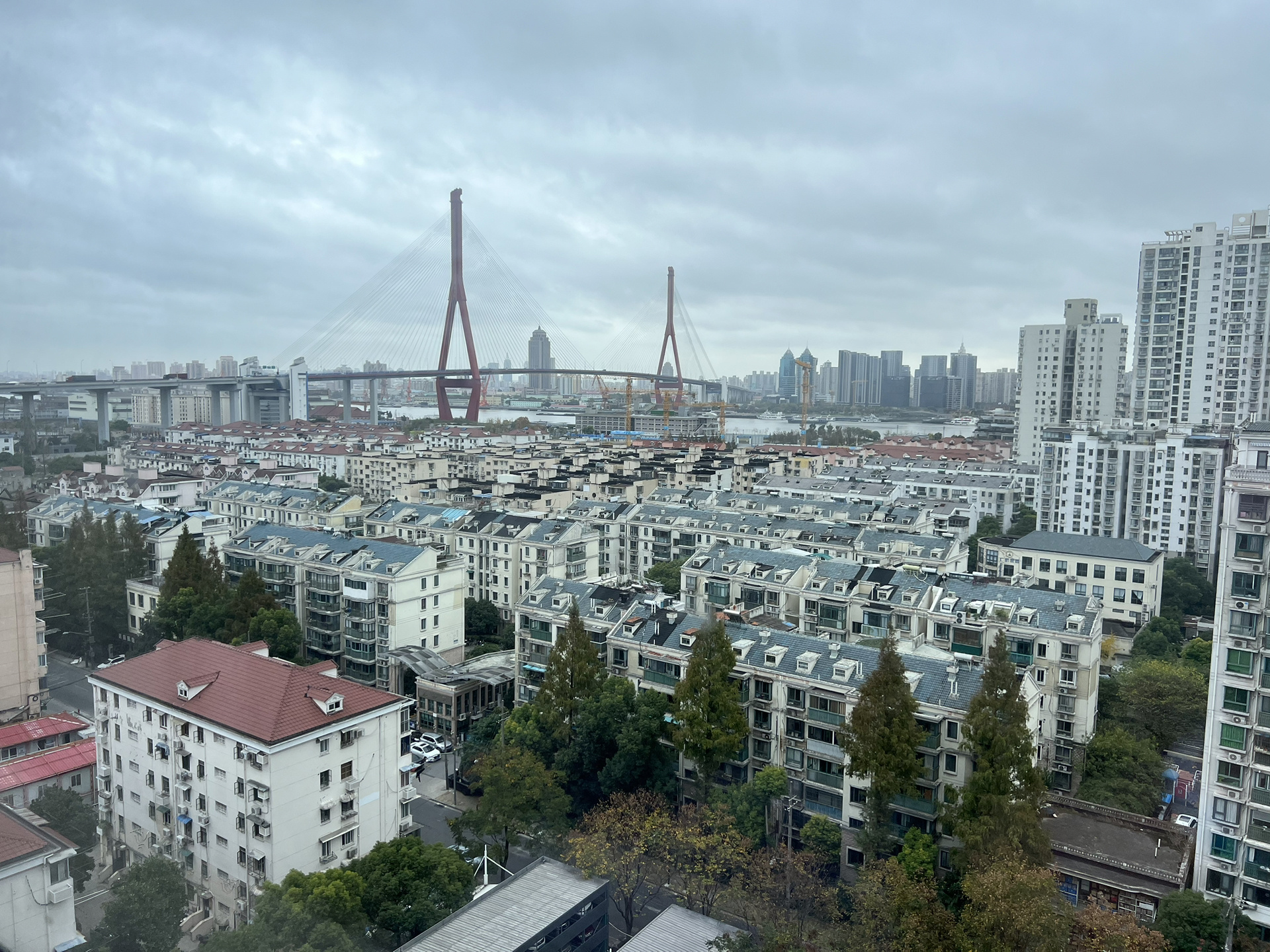 上海红房子(杨浦分院)子宫肌瘤手术记录(一)