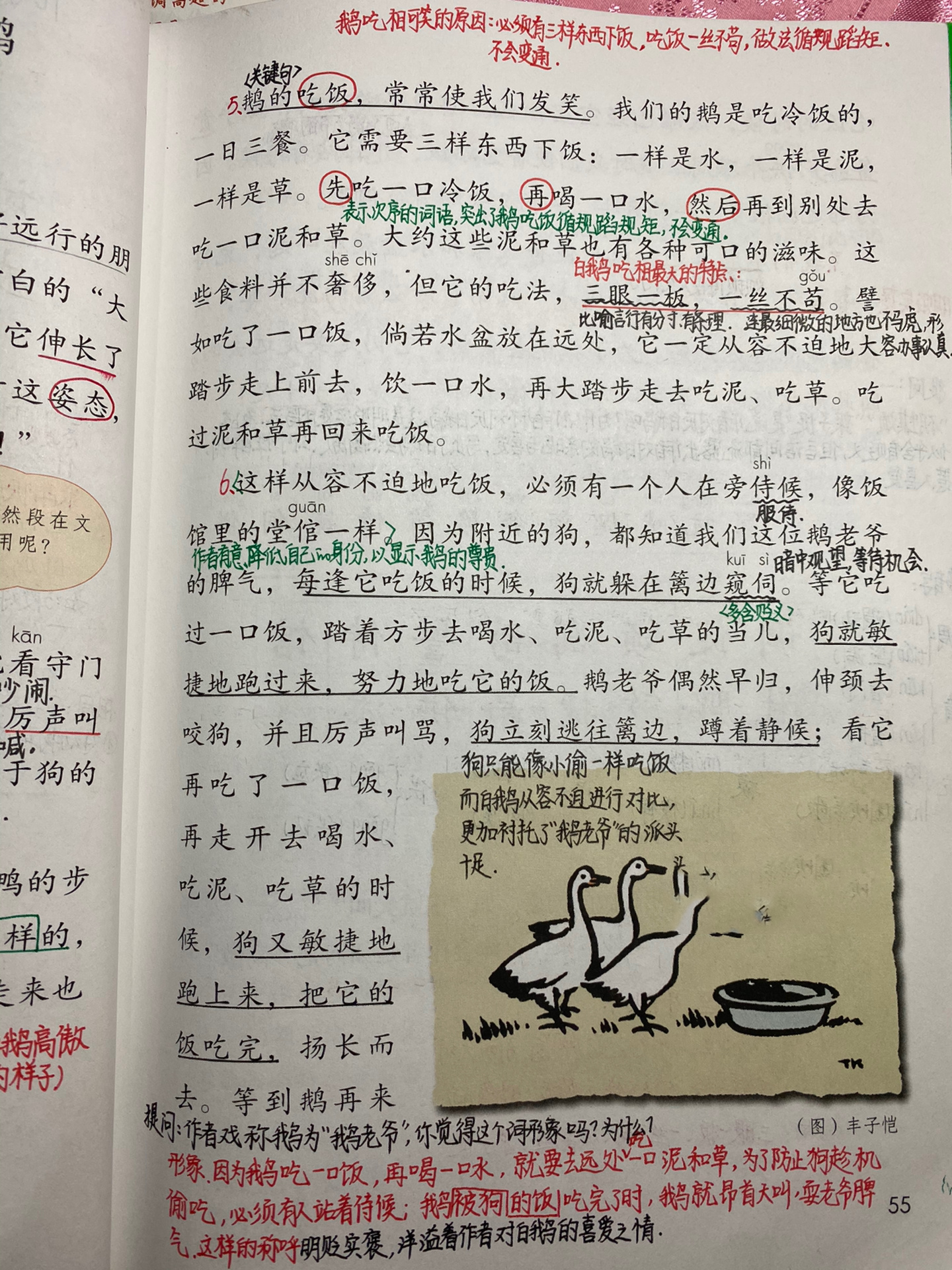 四下:《白鹅》详细笔记
