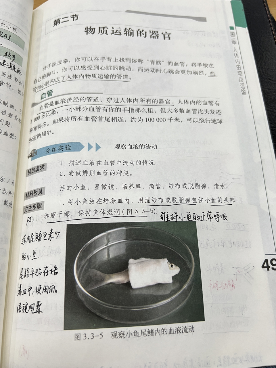 济南版七下生物课堂笔记(6) 物质运输的器官