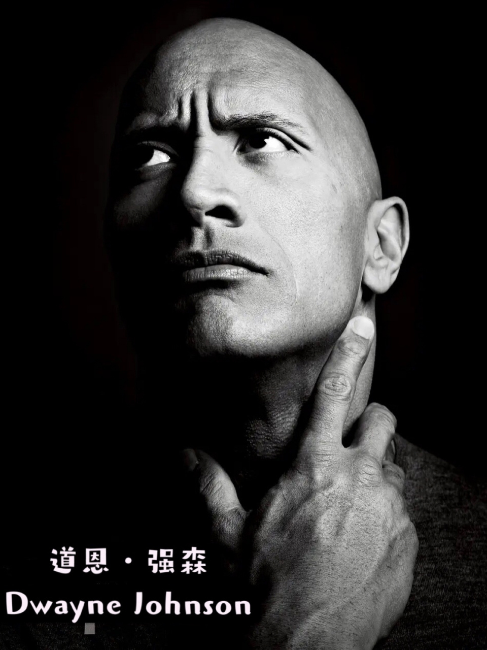 道恩·强森 dwayne johnson 92参演影片 2019年《速度与激情:特别