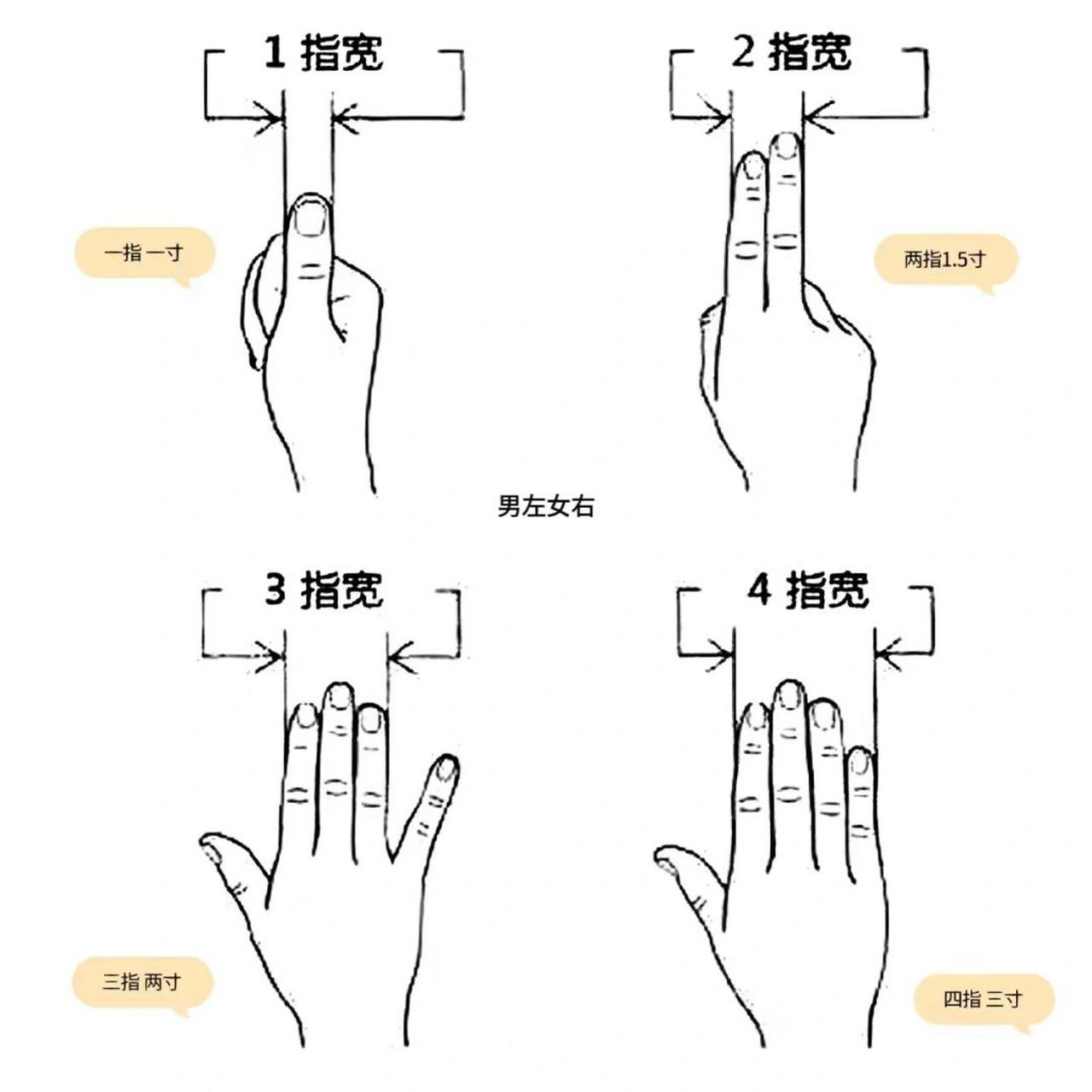 2张图搞定中医的"同身寸" 图一独新梳理,图二朗朗上口 	 "同身寸"是一
