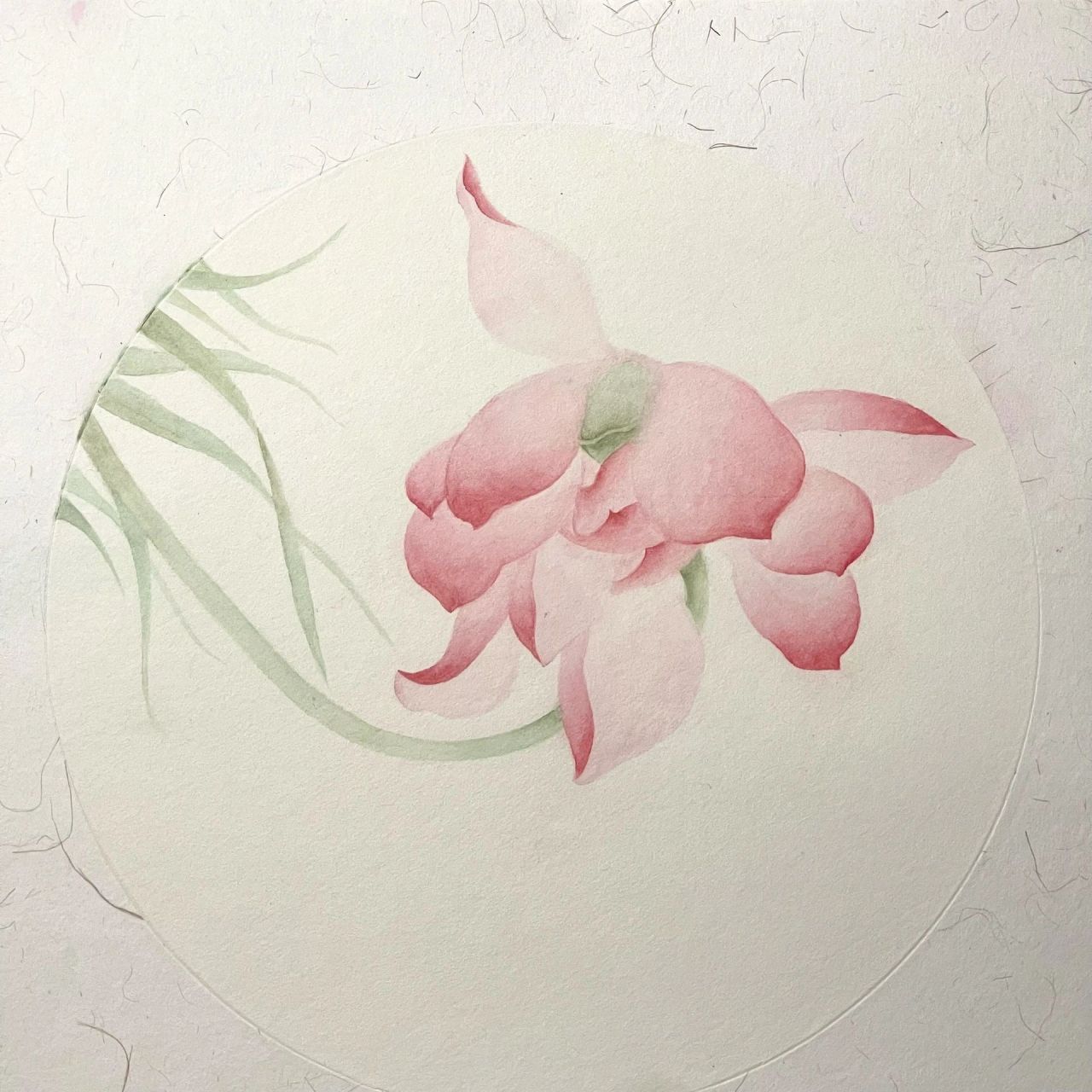 廉洁的绘画作品 荷花03 看取莲花净,应知不染心.03 荷花又叫莲花.