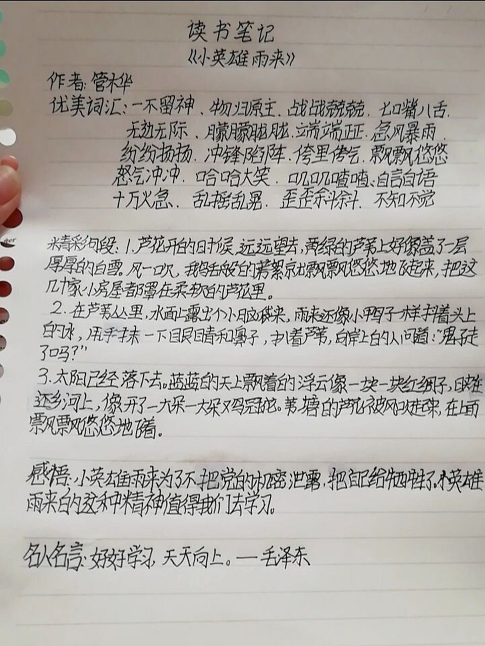 小英雄雨来读书笔记,在网上摘抄的,希望大家喜欢!
