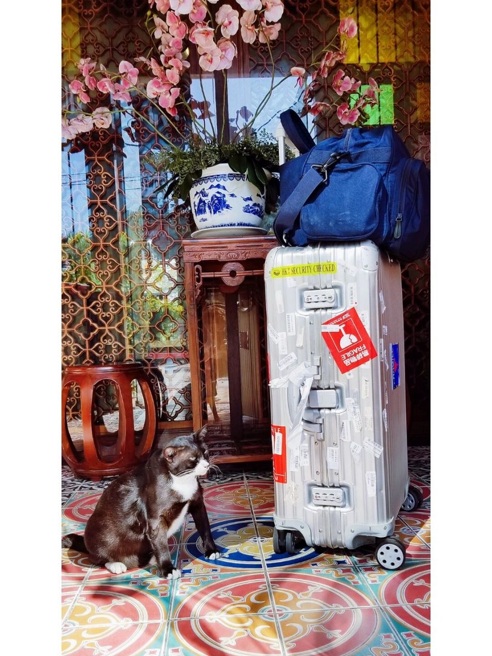 斯里兰卡是一个逃避世俗的好去处,物价很低,水果种类很多,不过城建很