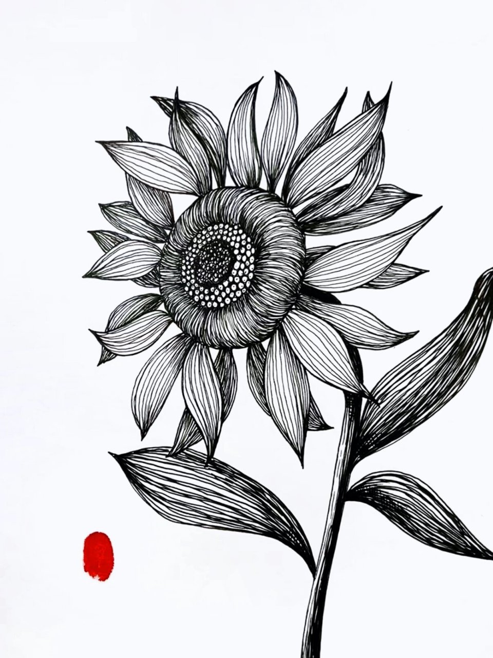 向日葵手绘绘画步骤教程图|花卉插画 特别适合新手小白学习画画,简单