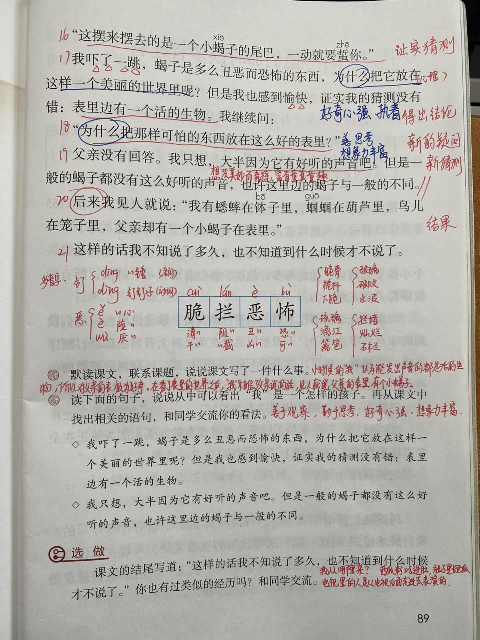 六下16《表里的生物》笔记 六下16《表里的生物》笔记