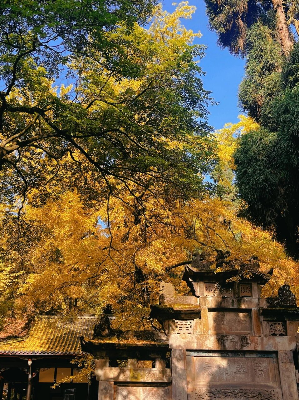 成都周边| 灵岩寺 灵岩寺在都江堰灵岩山,被称为"灌县十景",有1500年