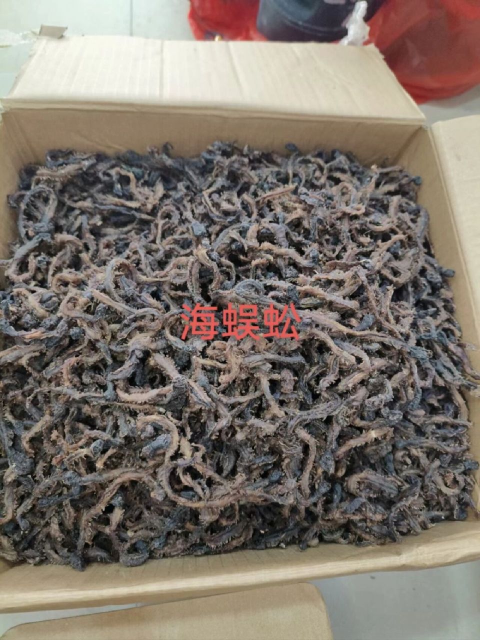 福鼎特产 海蜈蚣顾名思义就是生活在大海中的蜈蚣,通过海蜈蚣图片就会