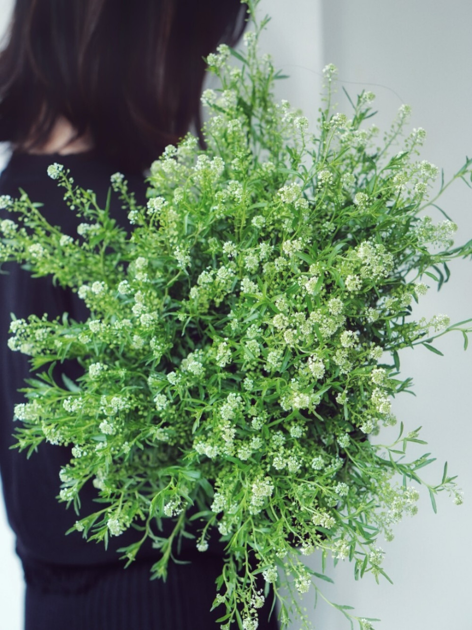 植花物语 |【绿铃草】自然风格的绿精灵 绿铃草算是不常见的花材,它