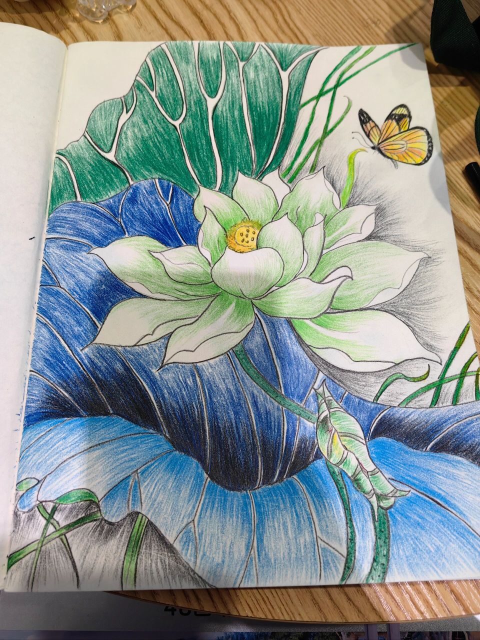 今日画作《夏日荷花》 很久没有画彩铅画了,由于之前的彩铅找不到了