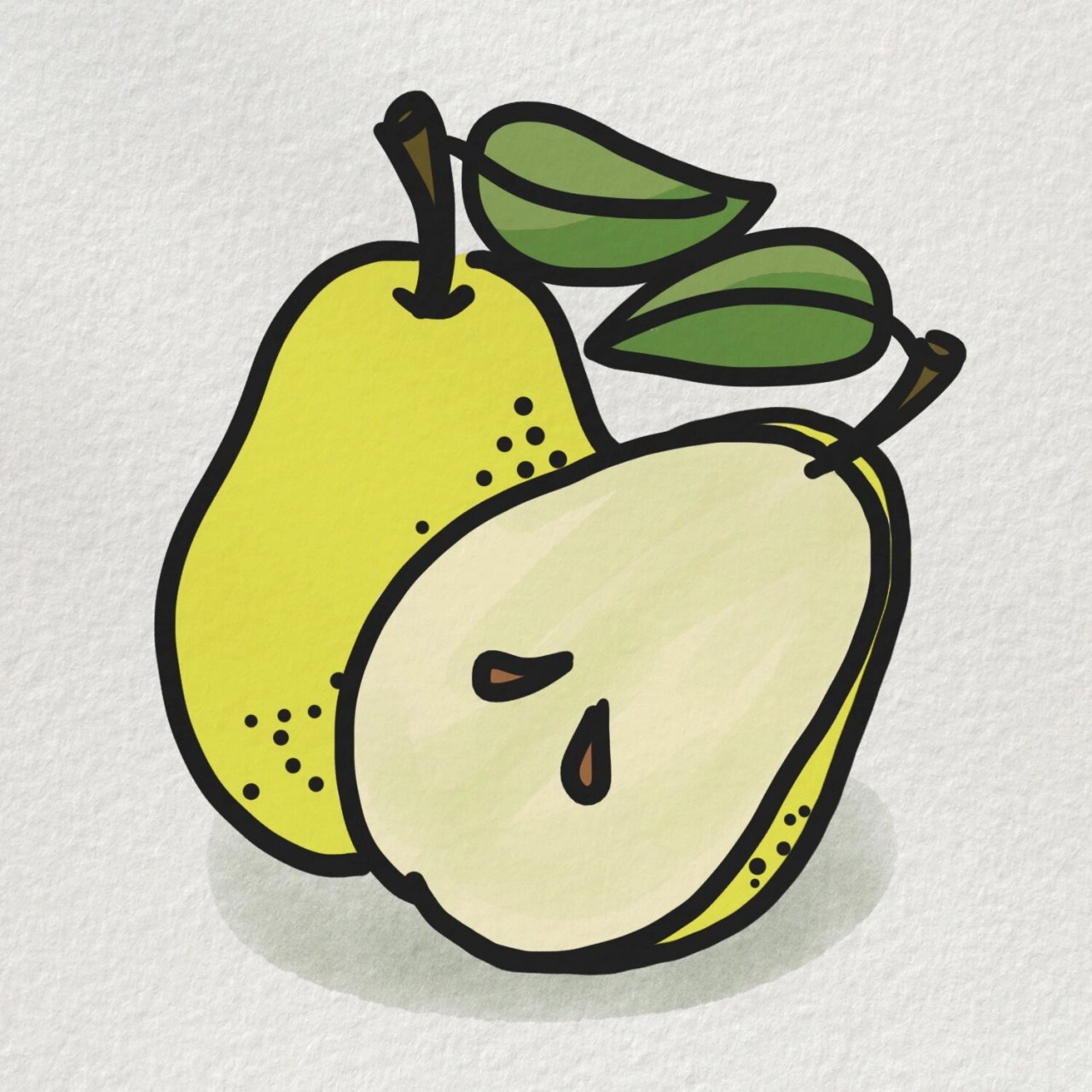 梨的种子的简笔画图片