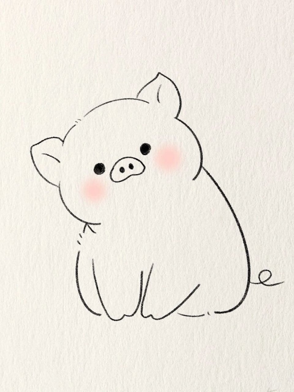 简笔画教程—可爱小猪