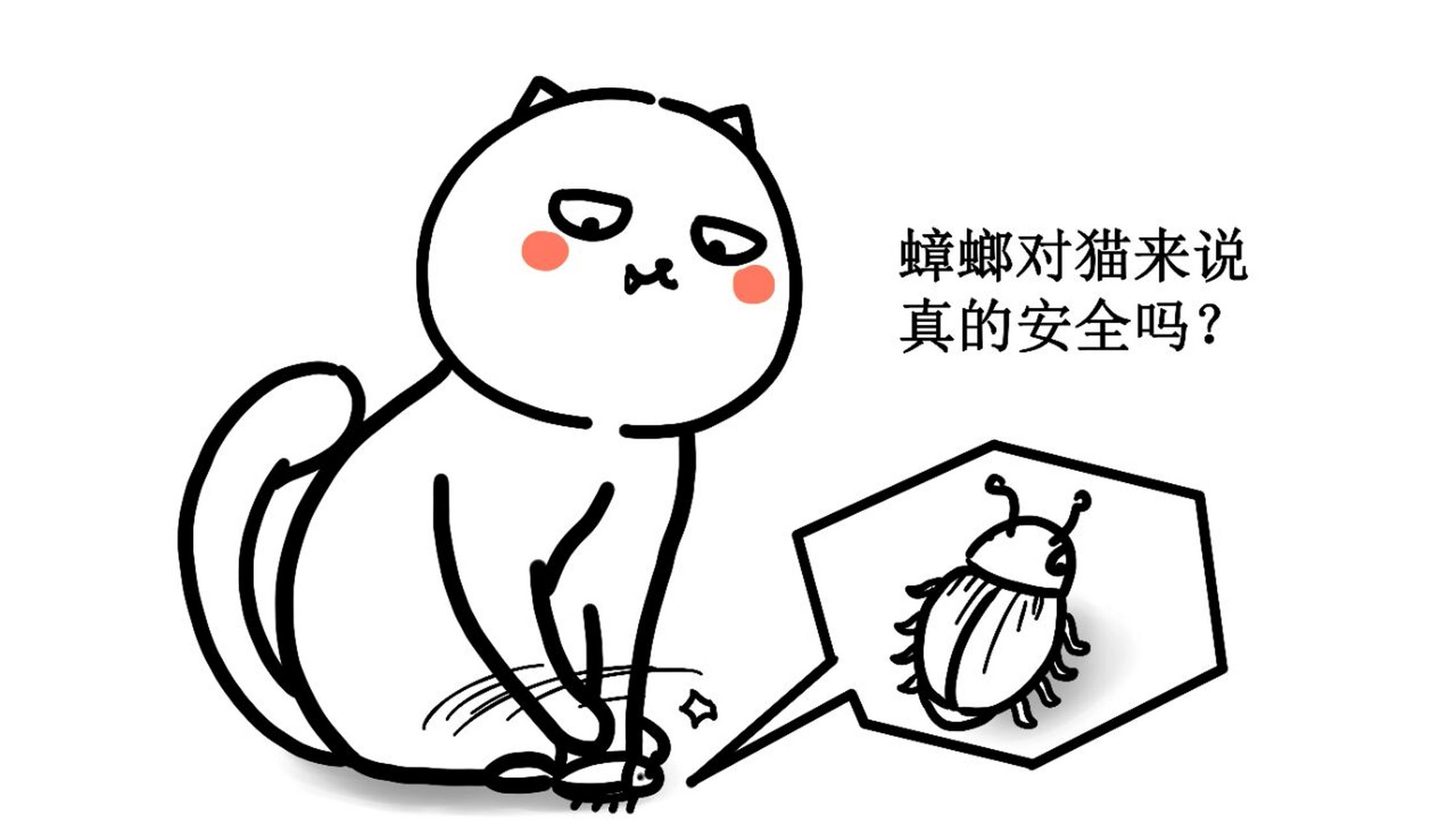 养猫小知识95——猫咪吃蟑螂苍蝇正常吗71 猫咪吃苍蝇,蚊子,蟑螂