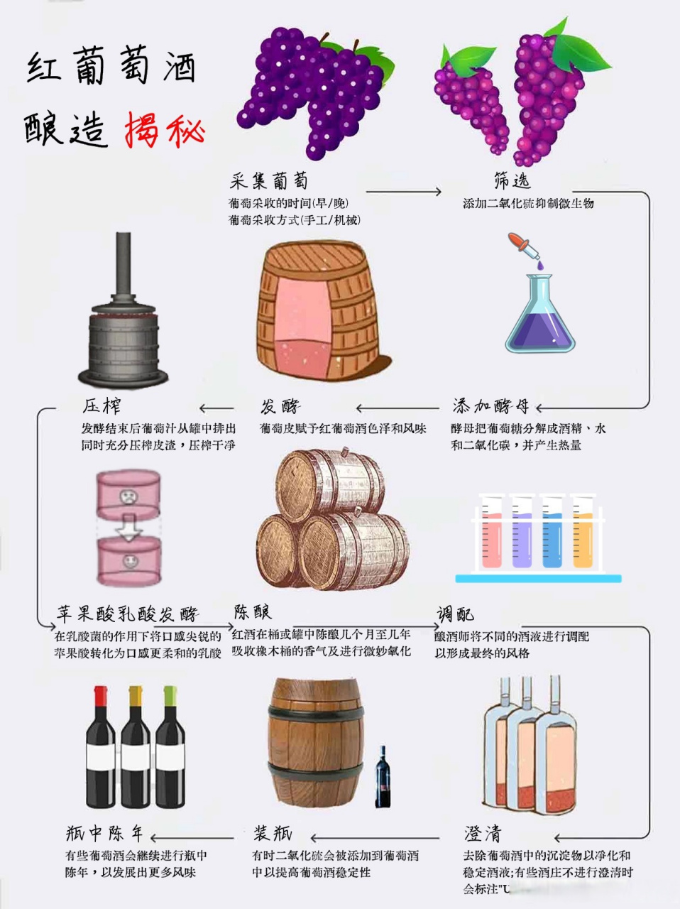 红酒工厂制作过程图片