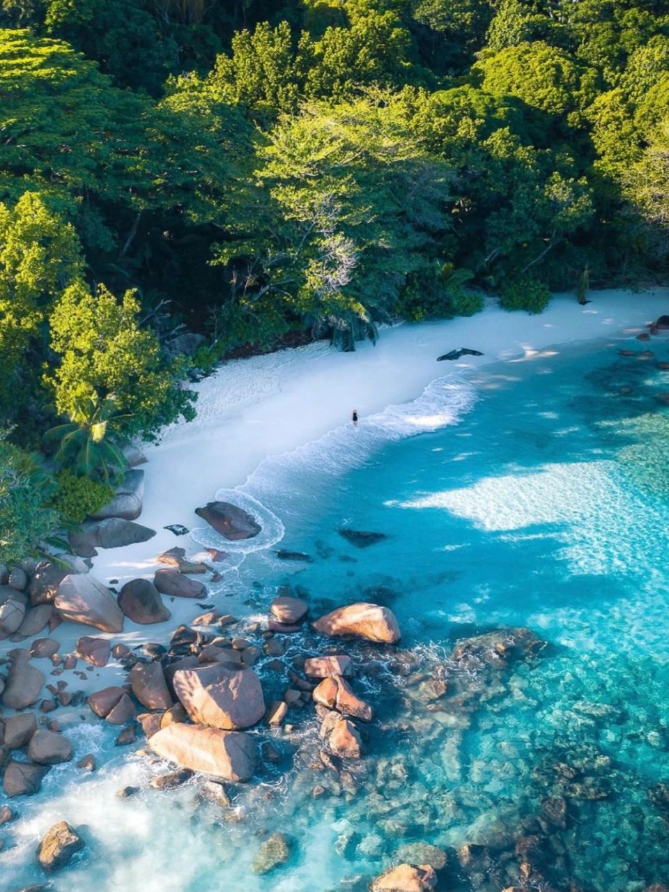 塞舌尔|地球上最后的伊甸园,最原始的美景98  【超美旅行目的地分享