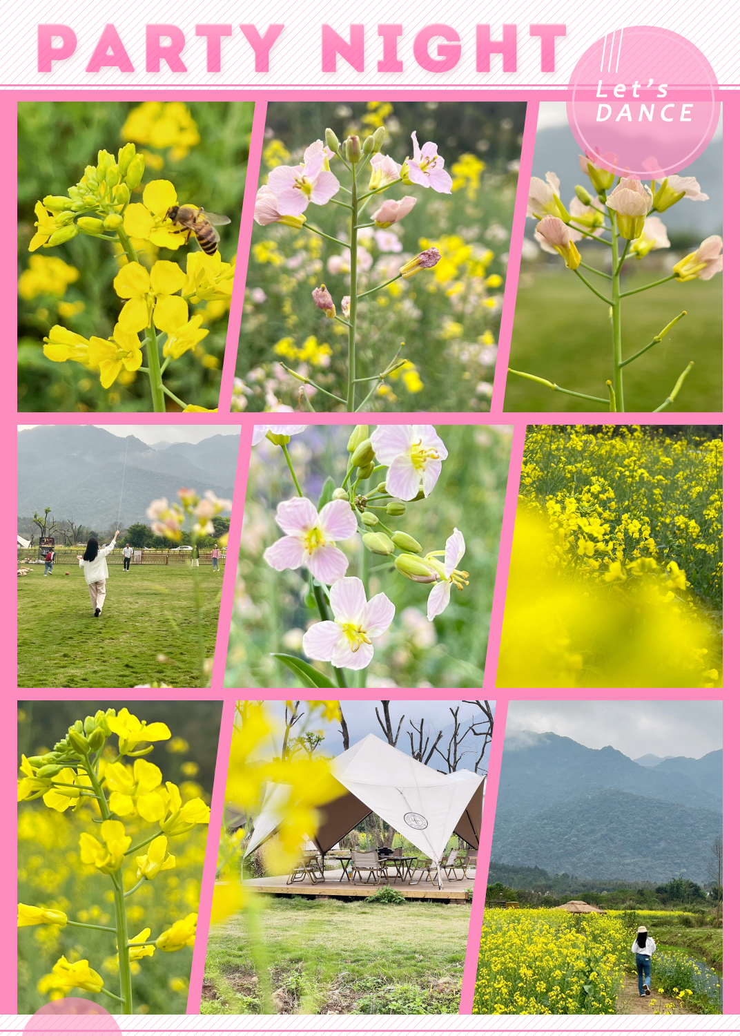 春日奔香,广州郊区的油菜花海