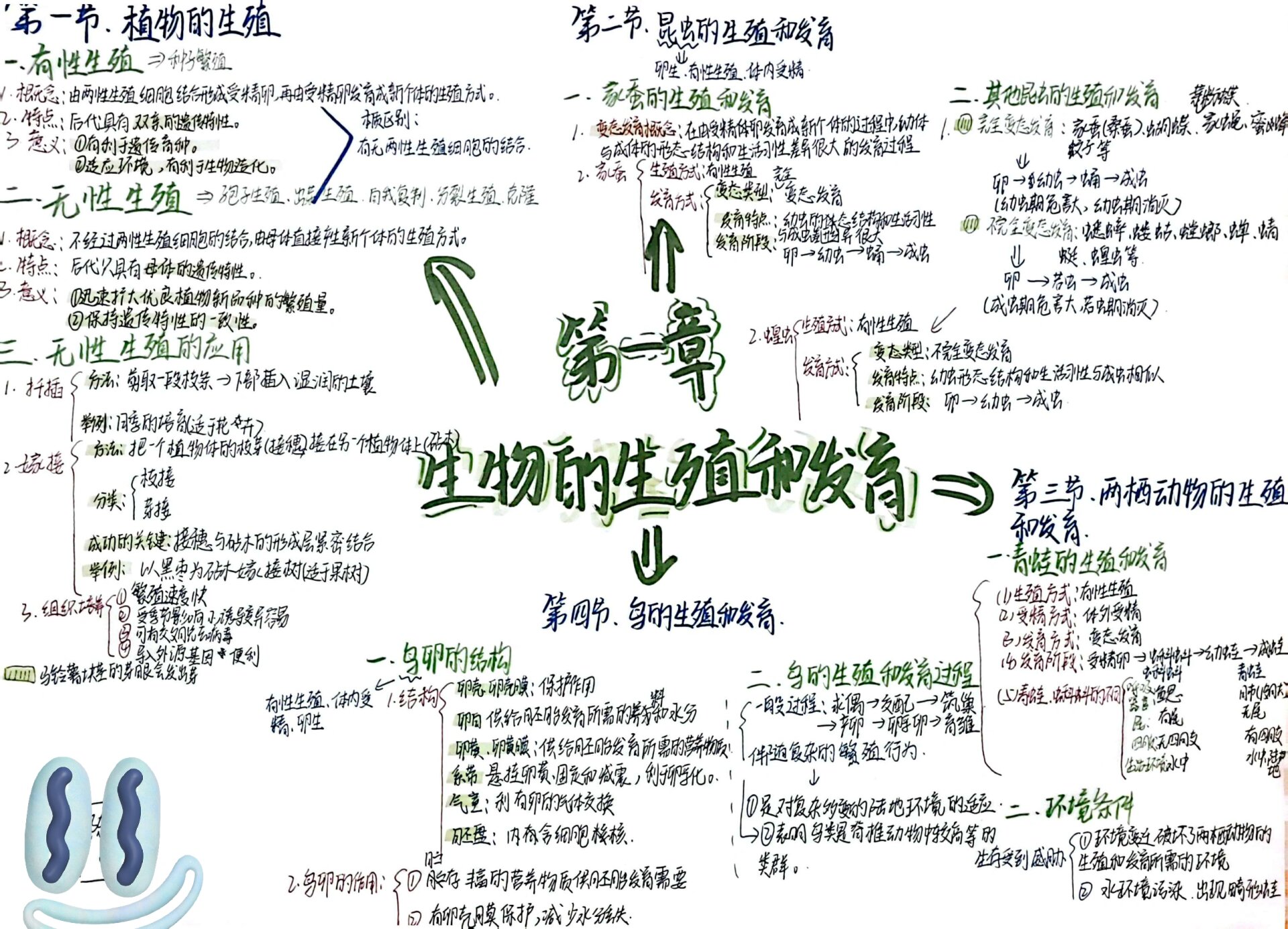 八下生物第一章思维导图 生物的生殖和发育思维导图 八年级压力大好多