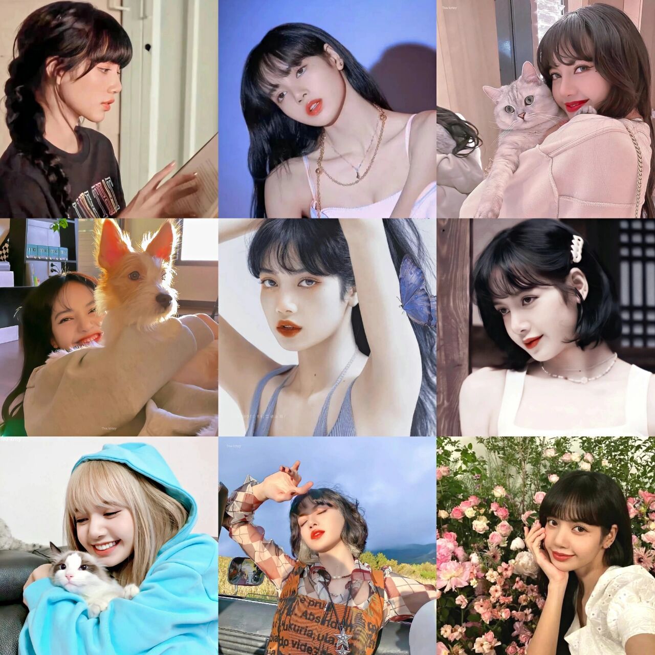 lisa头像合集92 终于把长时间没出但是很想出的bp头像系列继续更新