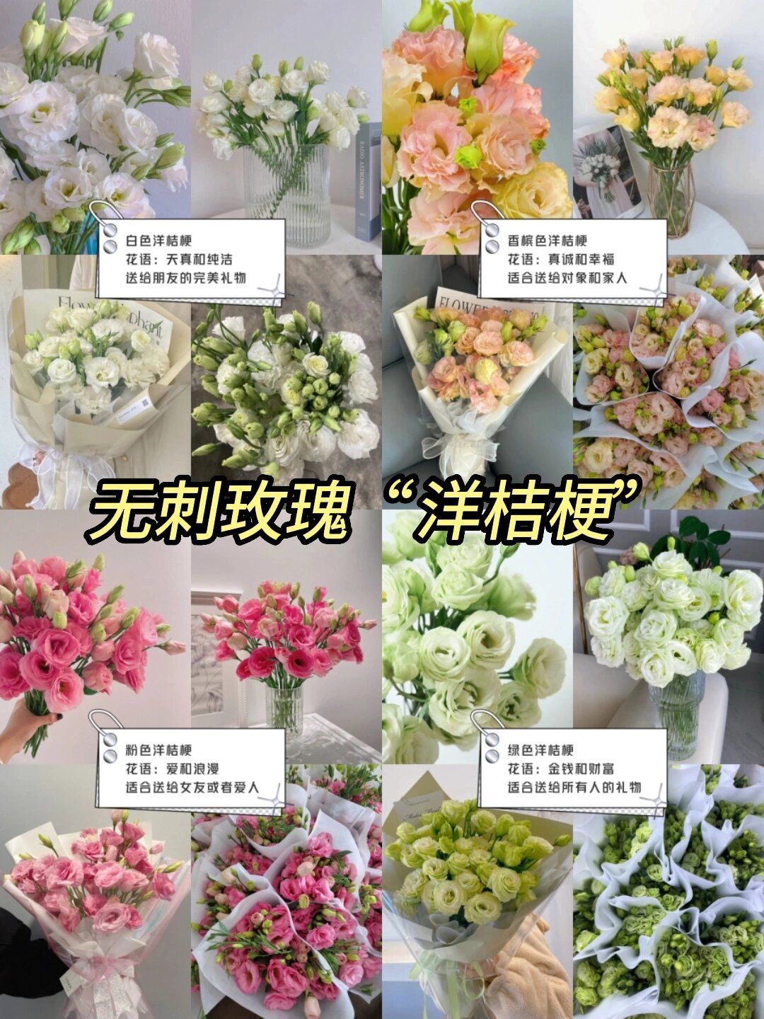 白色洋桔梗花语是什么图片