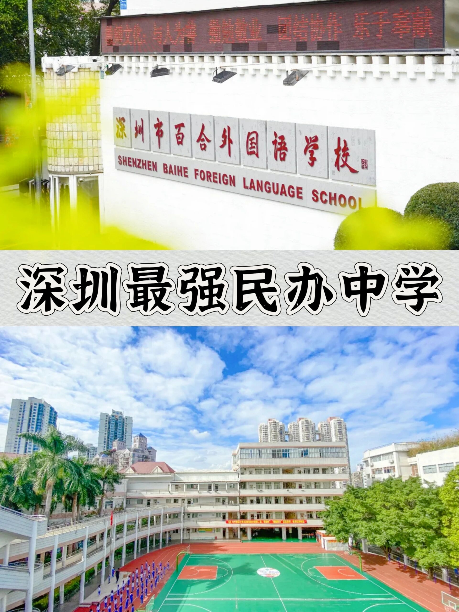 深圳中考升学率佼佼者:百合外国语学校