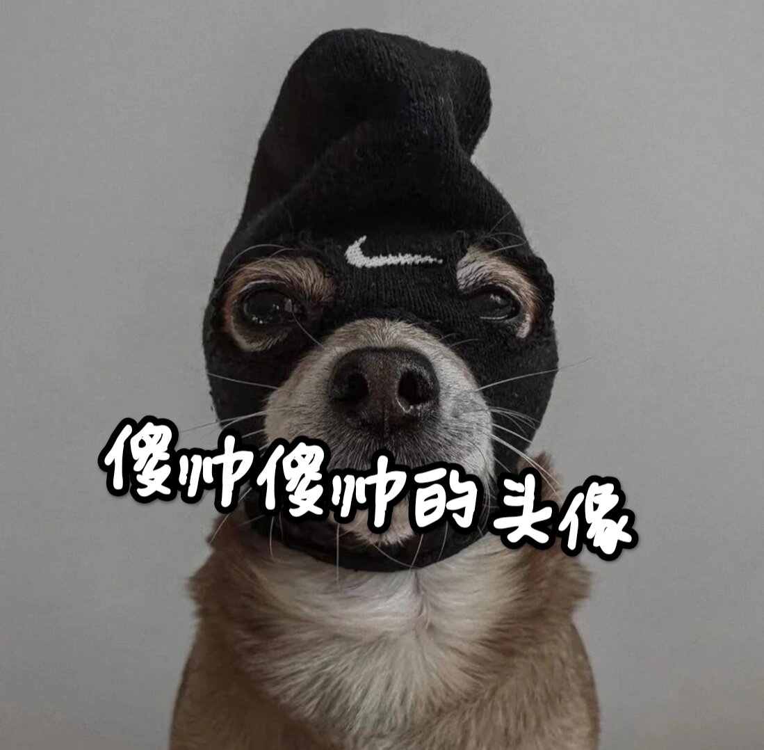 头像傻傻的,本人帅帅的,傻帅傻帅的头像