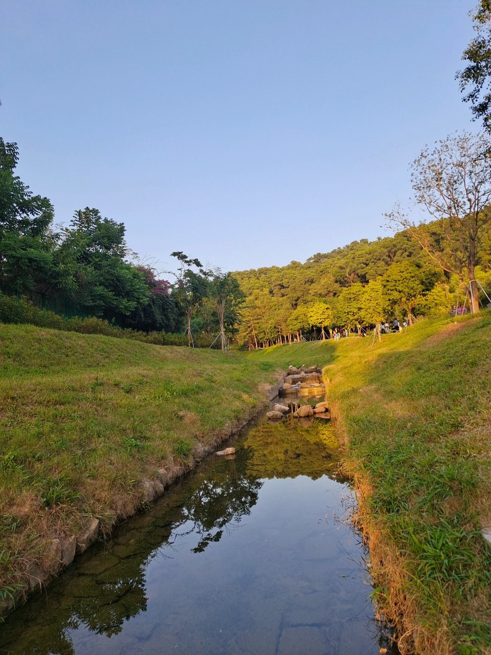 用力拥抱大自然～西丽湖度假村好chill~ 西丽湖度假村真的好chill