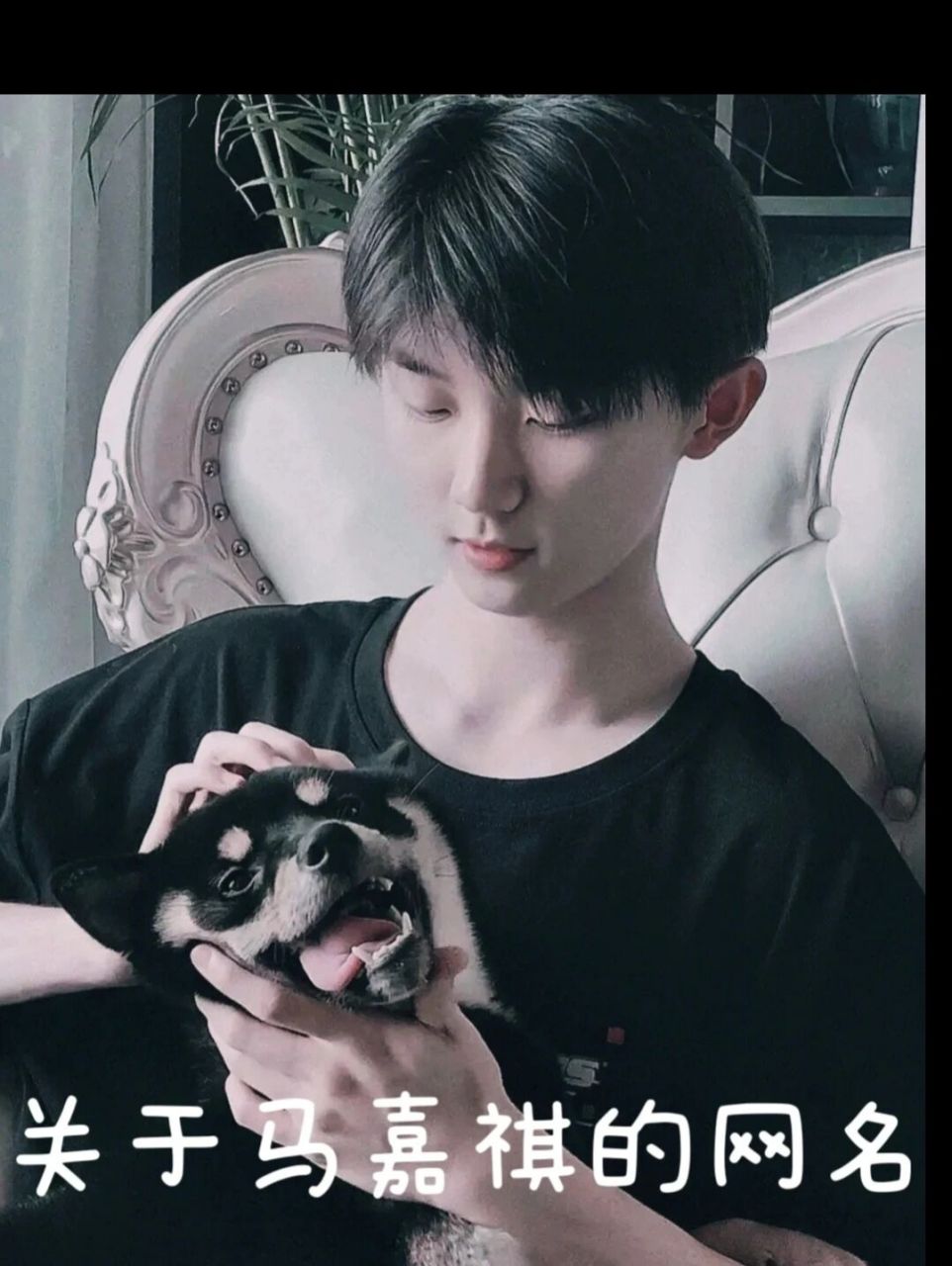 马嘉祺网名来啦! 马嘉祺!