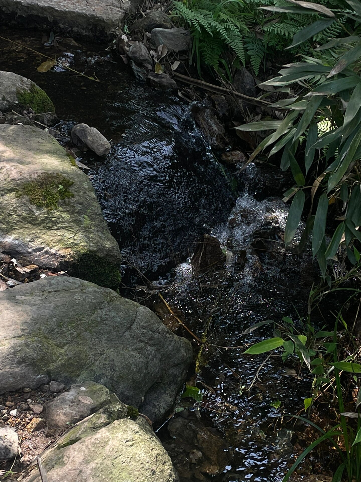 徒步小记7215绍兴秦望山大环线 新手9215