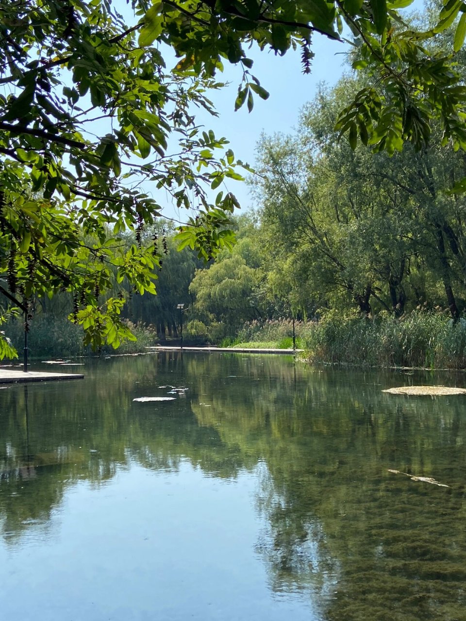 济南章丘风景绝美的小众泉|眼明泉公园 净明泉又称明净泉,明水泉,在