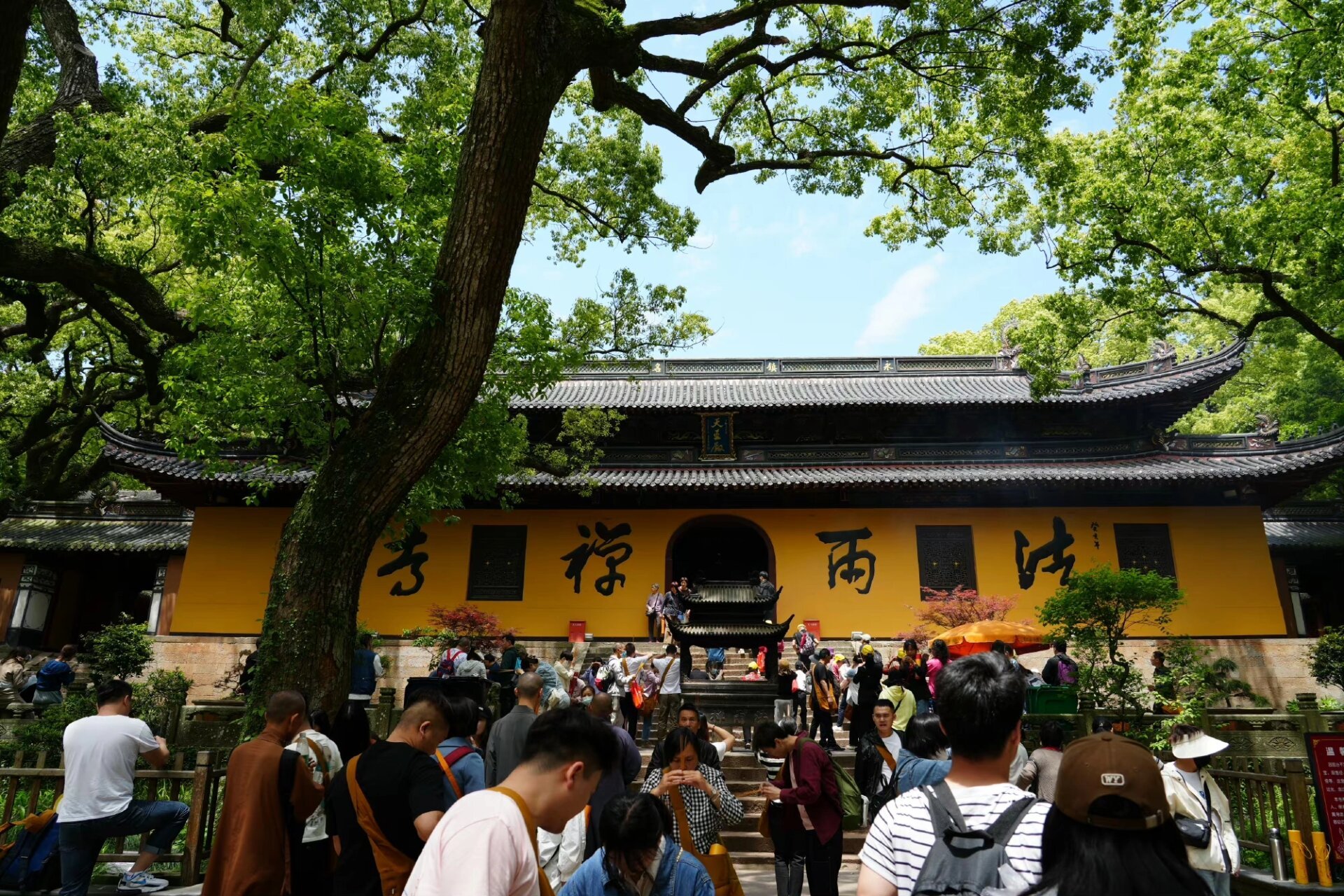 普陀山法雨寺方丈图片