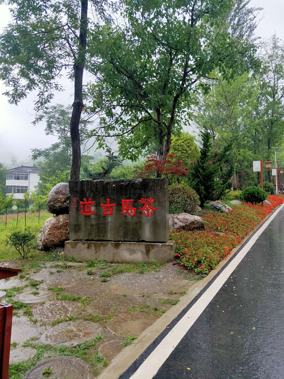 康县马拉松# 花桥村,位于甘肃省陇南市康县长坝镇,地处省道白望孤路