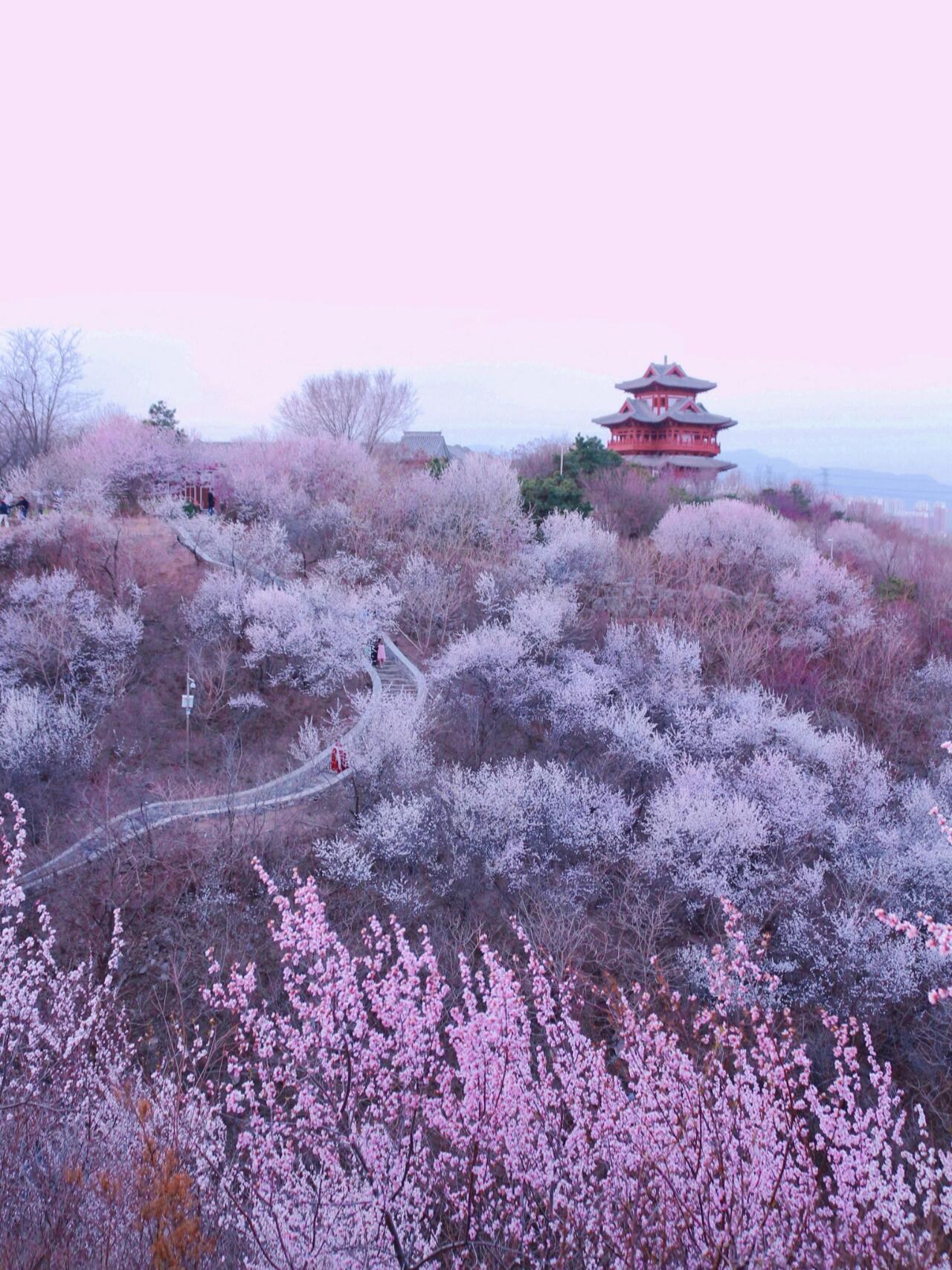 房山桃花谷图片