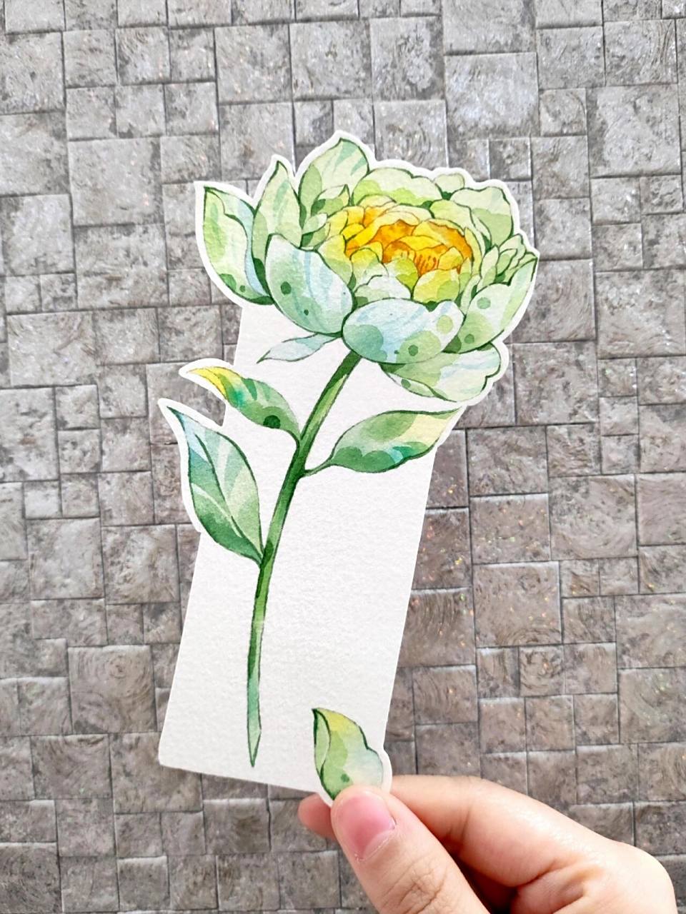 水彩书签—绿韵芍药(附线稿和绘画过程) 一朵清新的芍药书签 花朵来自