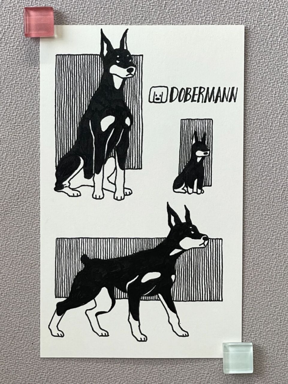 手帐素材# #狗狗日常# #狗狗# #寻找小红书绘画大神# #杜宾# #杜宾 