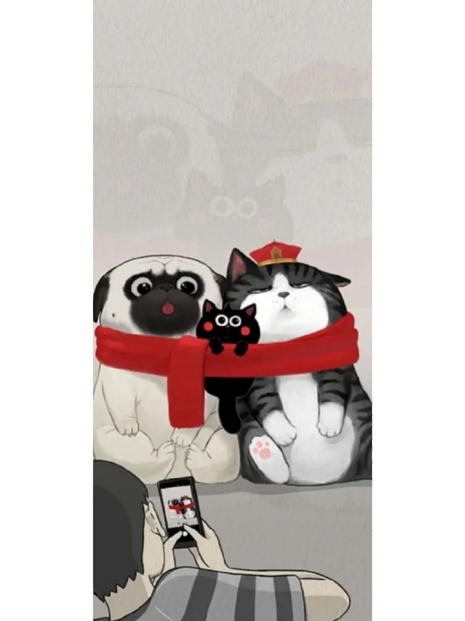 吾皇猫96壁纸 吾皇猫96壁纸