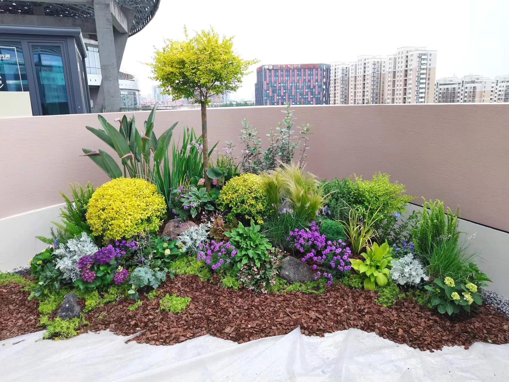 绿植造景 花园 露台小景 常用植物推荐       97一入花坑就再也不想