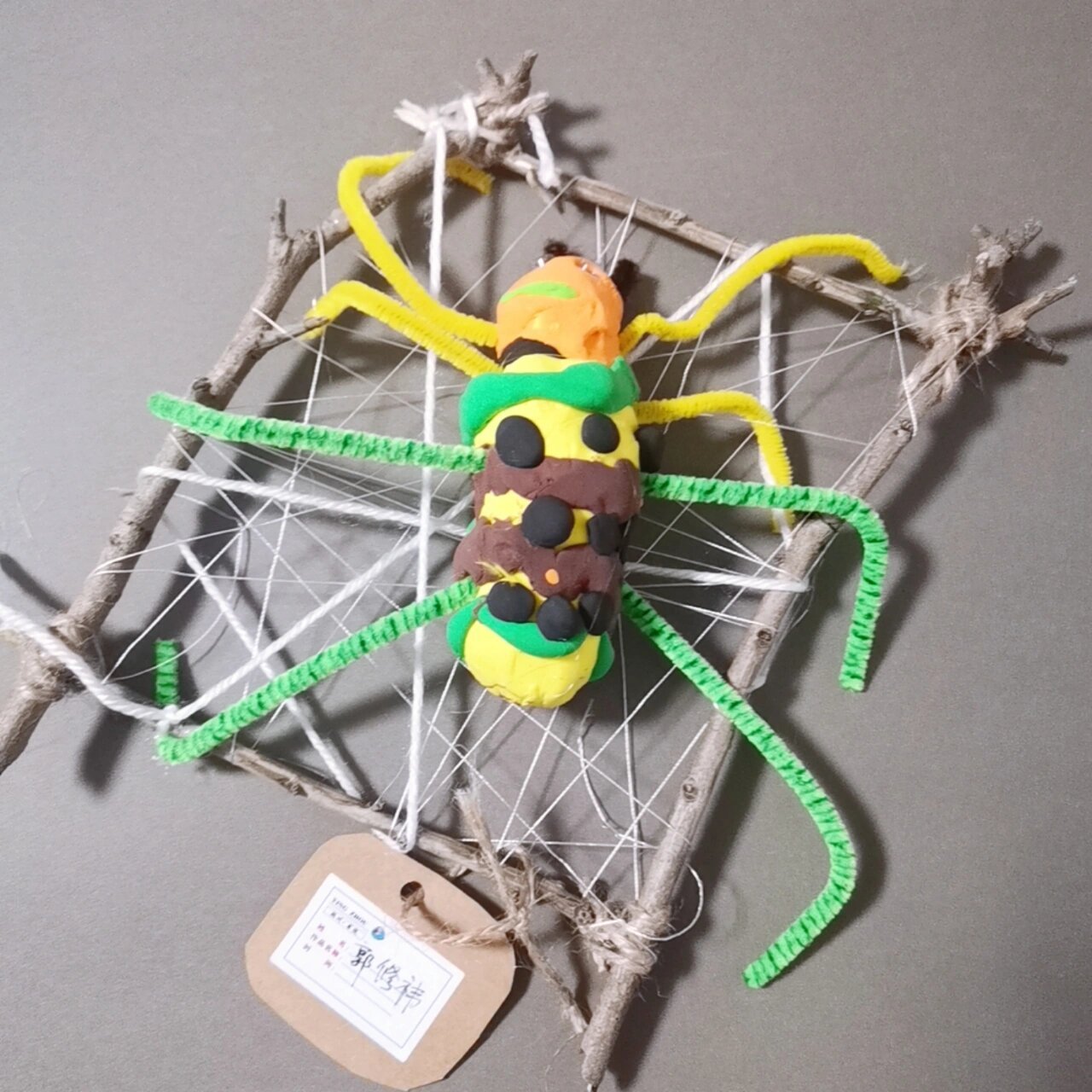 中班  手工粘土课 蜘蛛