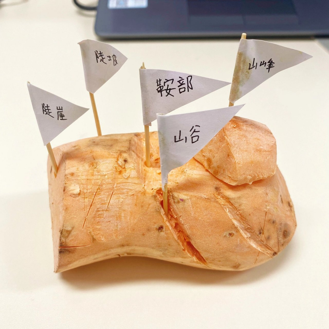 地理作业-手工地理模型(七年级) 错误多多 创意满满 山体不同部位或五