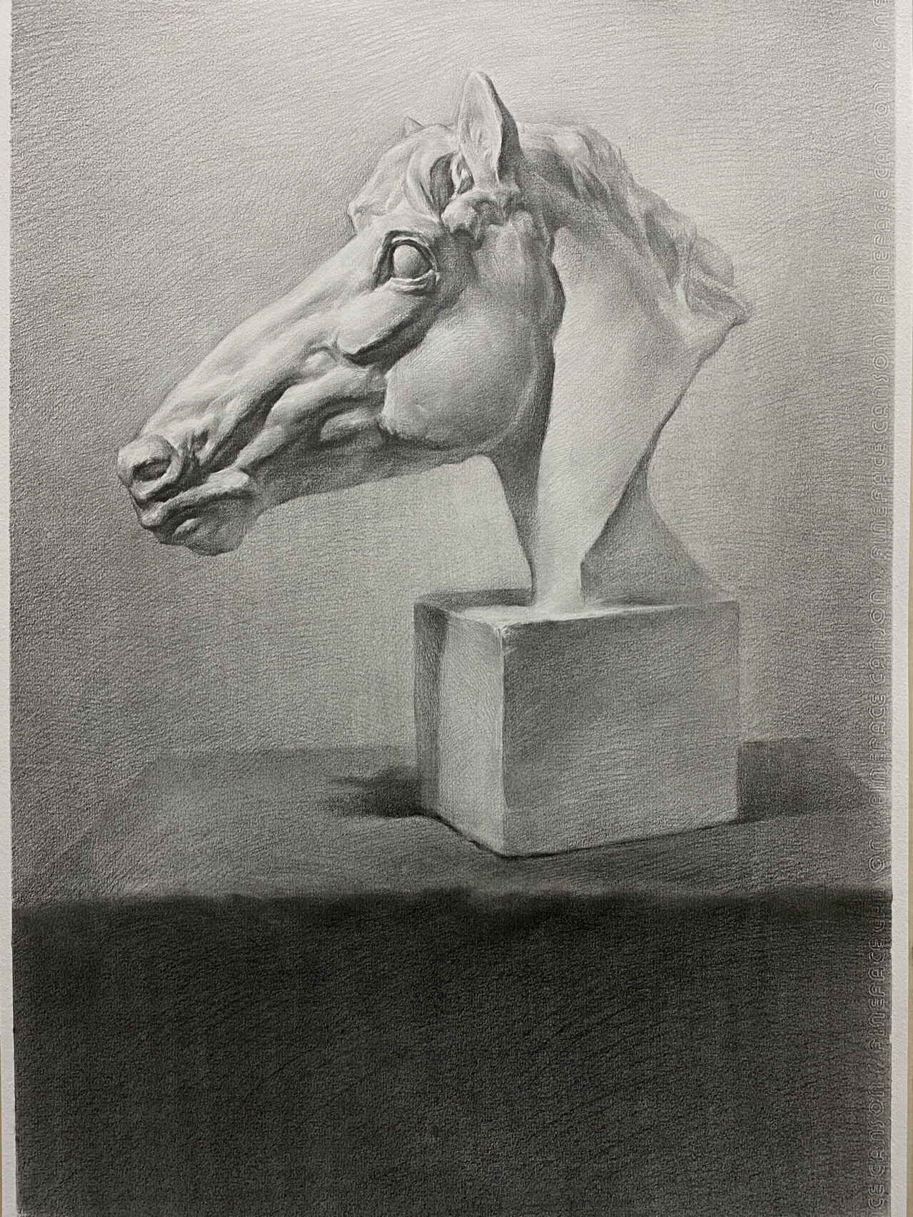 素描石膏马头的步骤来了