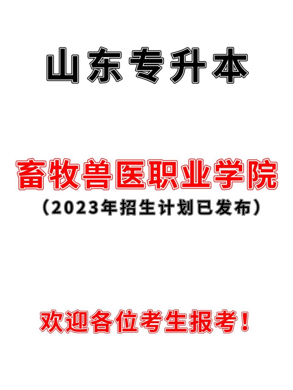 近期后台收到很多消息,没考好的同学正在纠结专科学校.