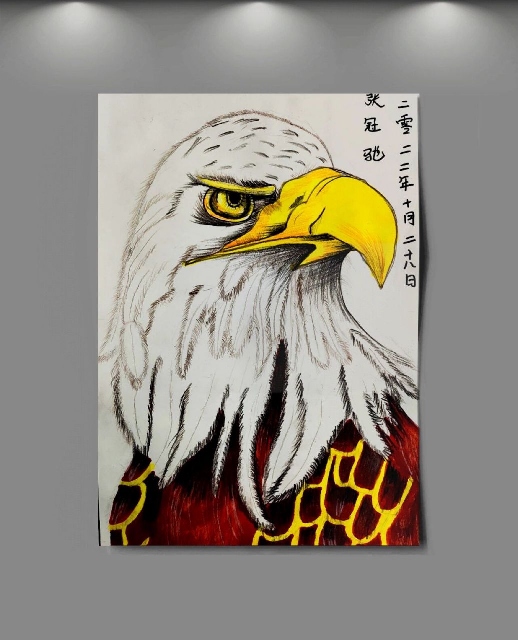 鹰彩铅绘画 三年级鹰照片写生