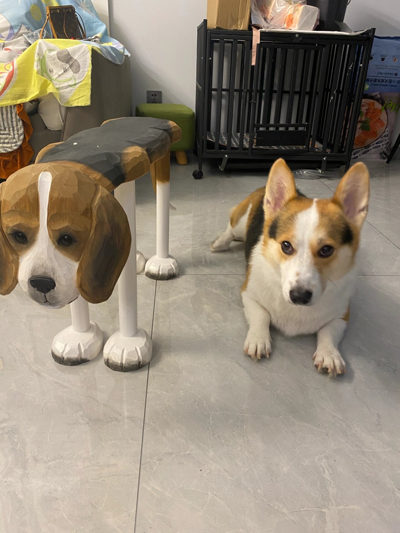 朋友吧那个狗板凳买来送我了!哈哈哈哈狗狗祟祟的!