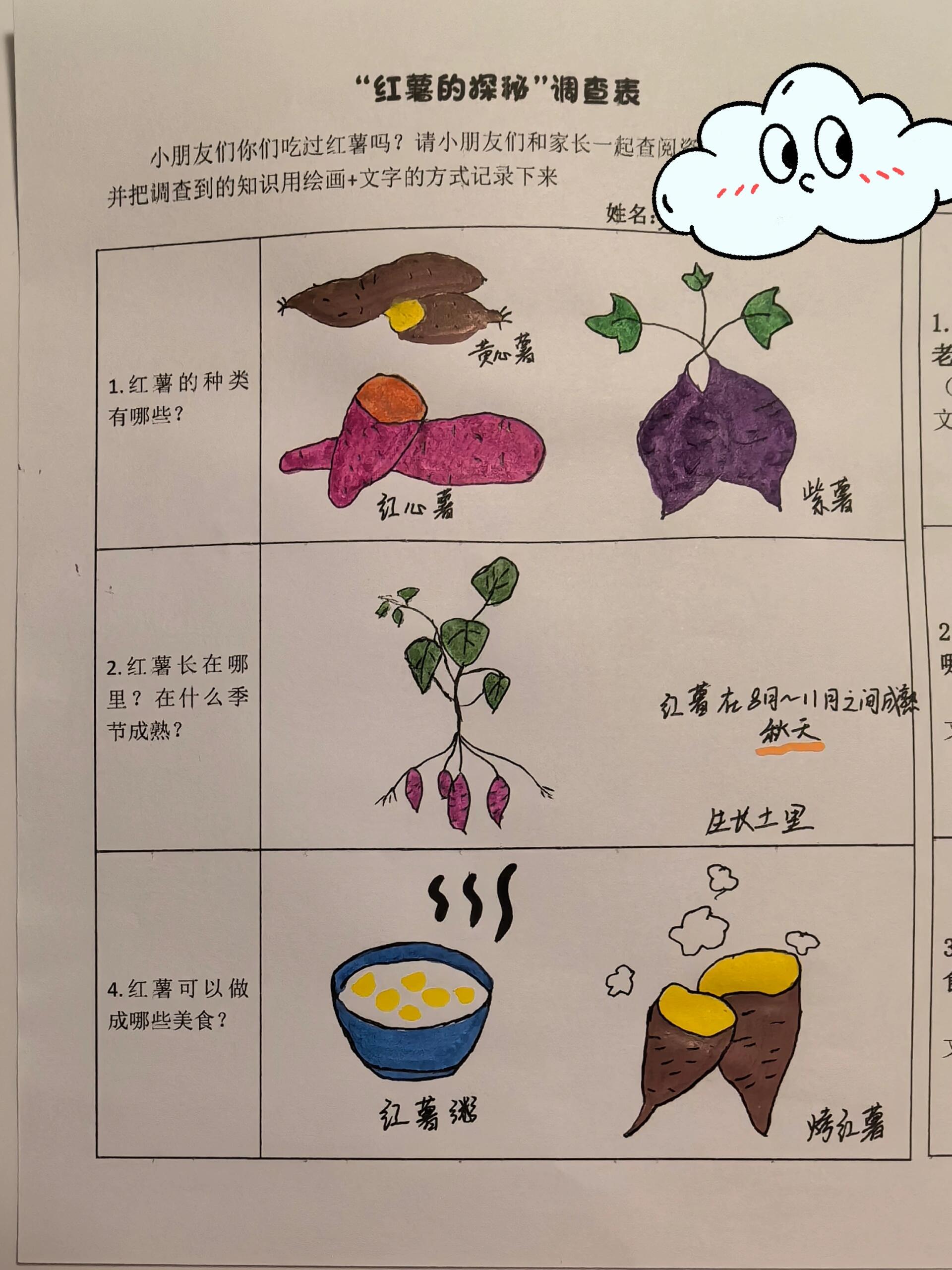 幼儿园亲子作业～"红薯的探秘"      小朋友还是不太会自己画出来的