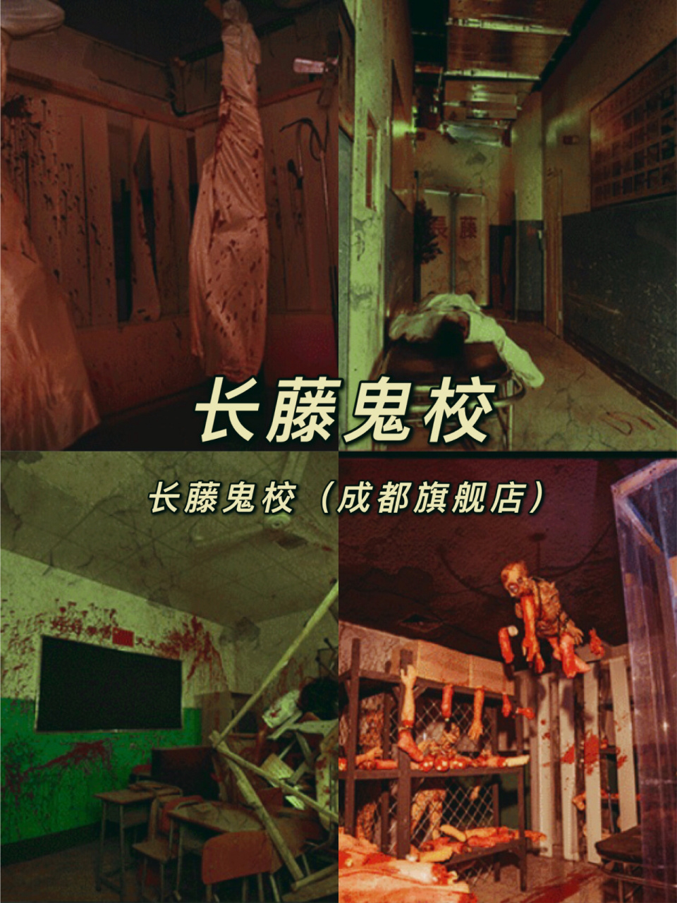 密室逃脱合集系列(成都篇)—长藤鬼校 99店铺名称:长藤鬼校(成都