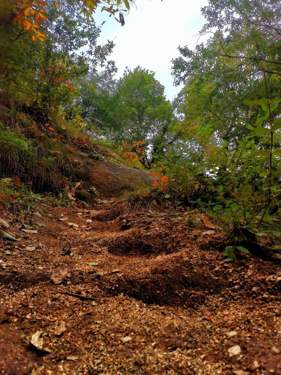 徒步|洛宁陈吴乡 洛宁县熊耳山八百坡-酒槽沟8公里休闲徒步