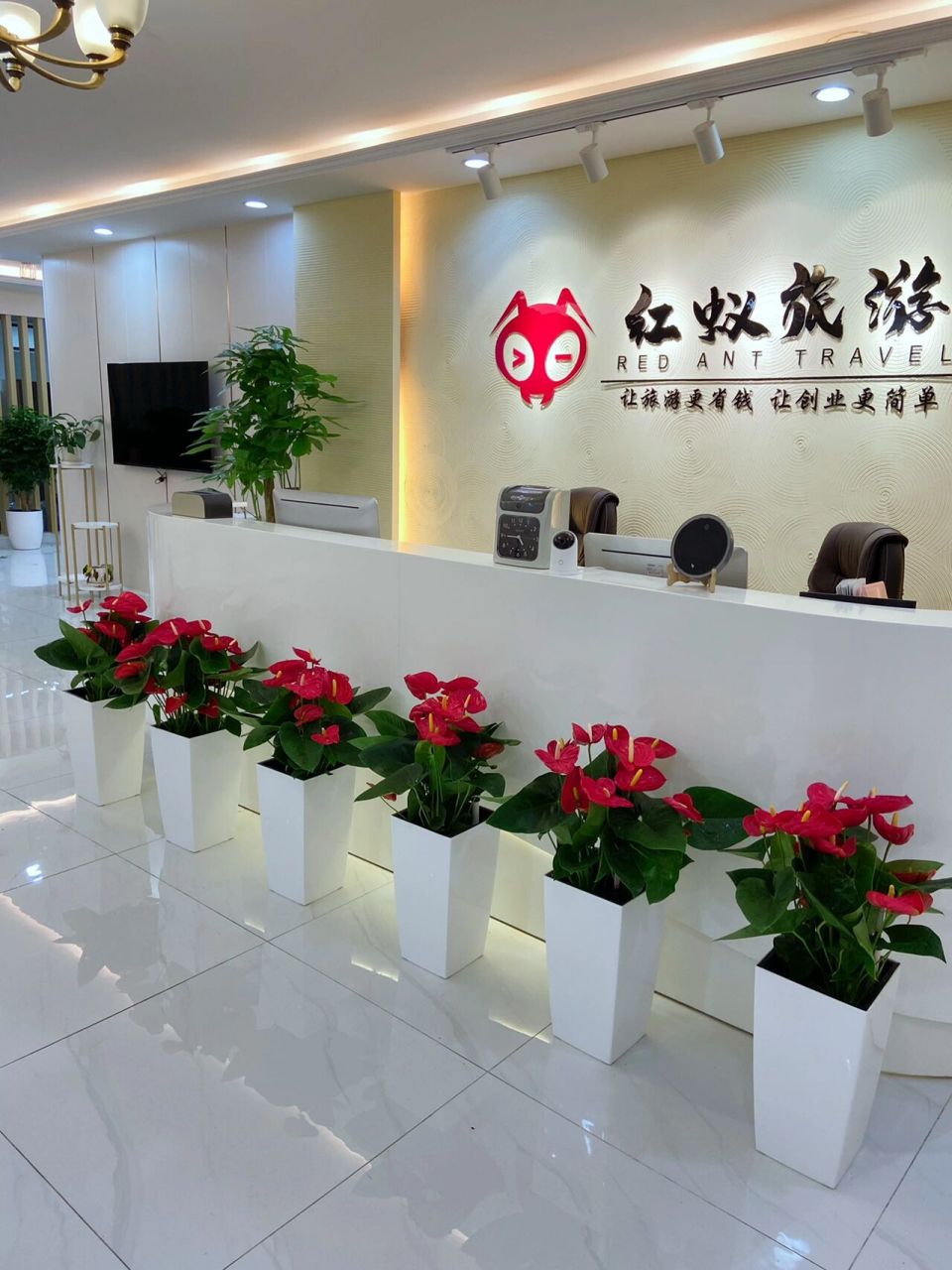 1000平以下最适合前台摆放的植物 步步高发财树,红掌组合,最适合企业